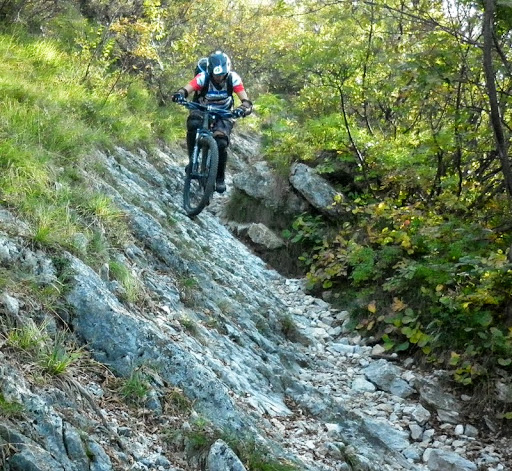 P1000256.JPG
