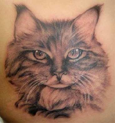 Srdjan tattoo   cat portrait by srdjantattoo on deviantART