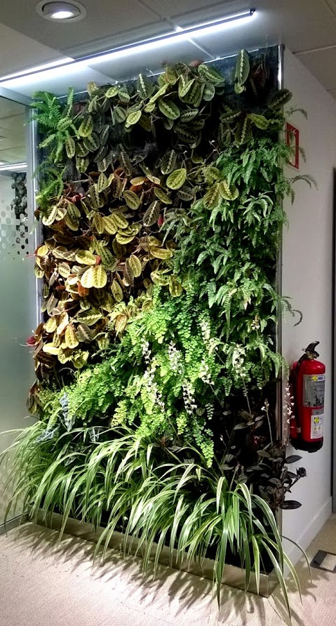 jardín vertical en interior de una oficina