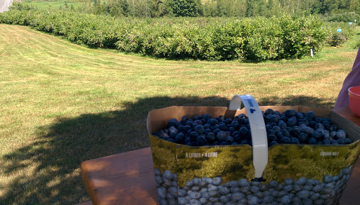 La Colline aux Bleuets