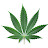 Richard Lavallee avatar image