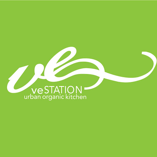 veSTATION logo