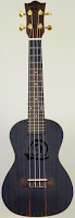 Snail Ebony Acoustic Concert