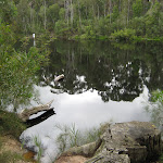 The bank of the Wallingat River