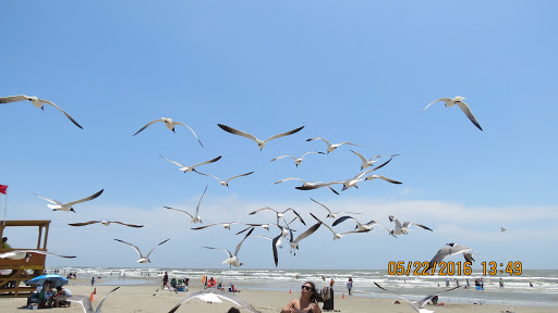 Stewart Beach Park