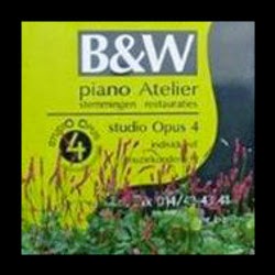 B&W Pianoatelier - Studio Opus 4
