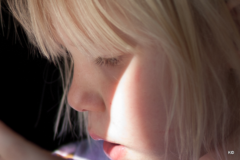 IMAGE: https://lh4.googleusercontent.com/-c6BBM3K8mRk/TvqxJhPLRGI/AAAAAAAAZPY/d0fi2NOBx9c/s800/_MG_0644-2.JPG