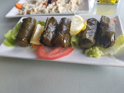 Turkish Restaurant «Turkish Cuisine», reviews and photos, 2546 W Peterson Ave, Chicago, IL 60659, USA
