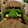 Charles Claunch Charles Claunch's profile photo