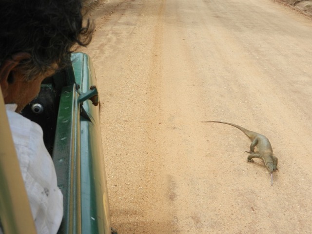 Ланка +Мальдивы по-нашему