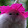 Nathalie Lareynie Nathalie Lareynie's profile photo