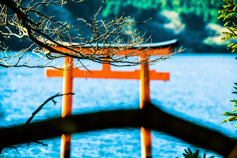 箱根 九頭龍神社本宮 写真3