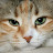 Jeffrey Dougan avatar image