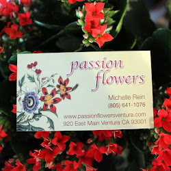 Passionflowersventura - logo