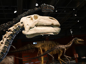 Jintasaurus meniscus with a Suzhousaurus megatherioides, Beishanlong grandis, and Lanzhousaurus magnidens in the background