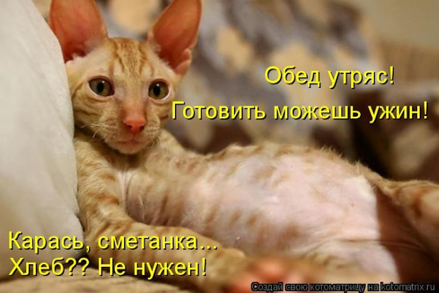 Ни дня без улыбки. Если вовремя надеть противогаз — то смерть наступит не сразу... Ни дня без улыбки. Если вовремя надеть противогаз — то смерть наступит не сразу...