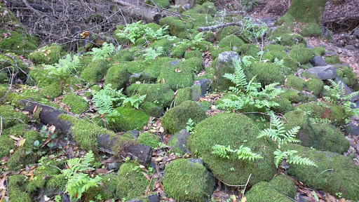 Skyline Wilderness Park