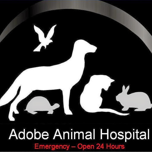 Adobe Animal Hospital