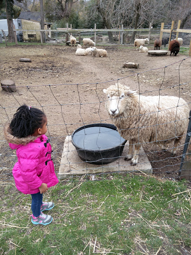 Benner's Farm