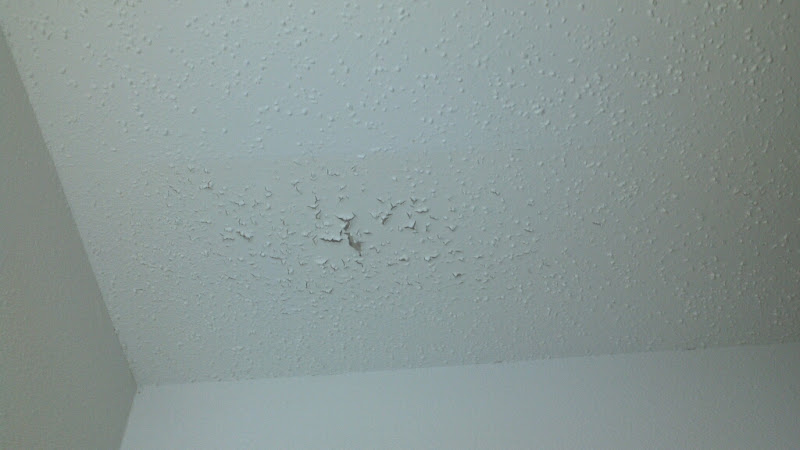 Ceiling Paint Is Cracking Flaking Terry Love Plumbing Remodel