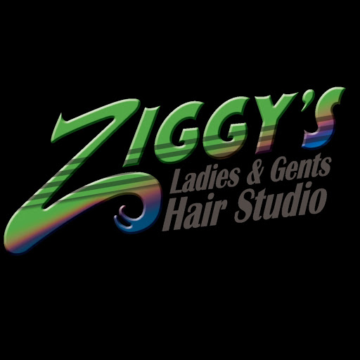 Ziggys Hair Studio logo