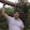 Abel Gouveia Abel Gouveia's profile photo