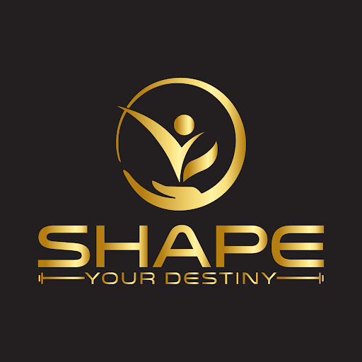 Shape Your Destiny LLC