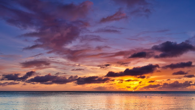 Cover photo