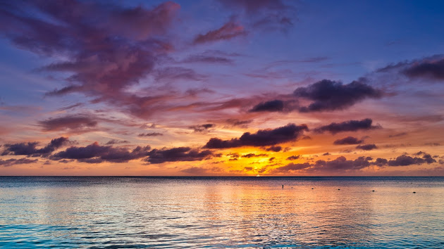 Cover photo