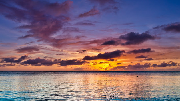 Cover photo
