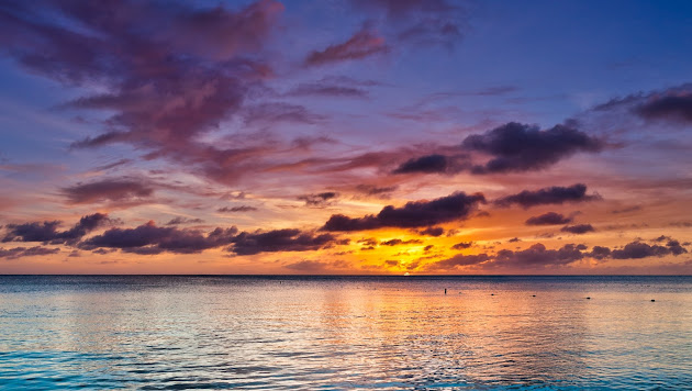 Cover photo