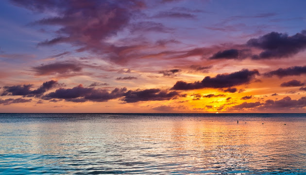 Cover photo