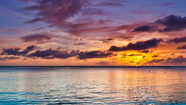 Cover photo