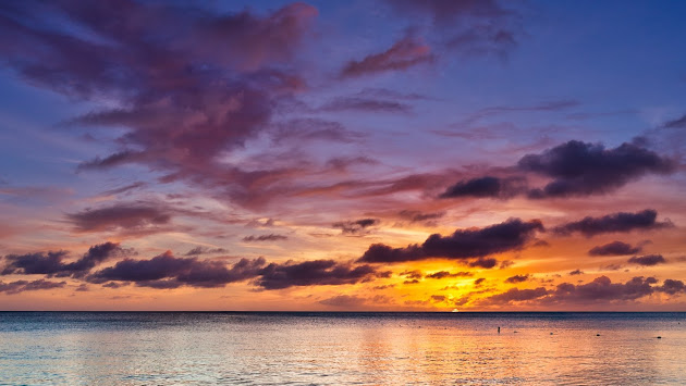 Cover photo