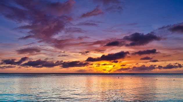 Cover photo