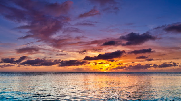 Cover photo