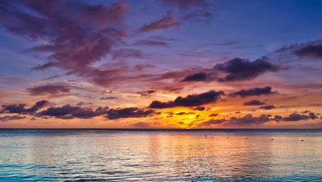 Cover photo