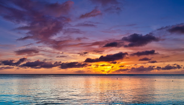 Cover photo