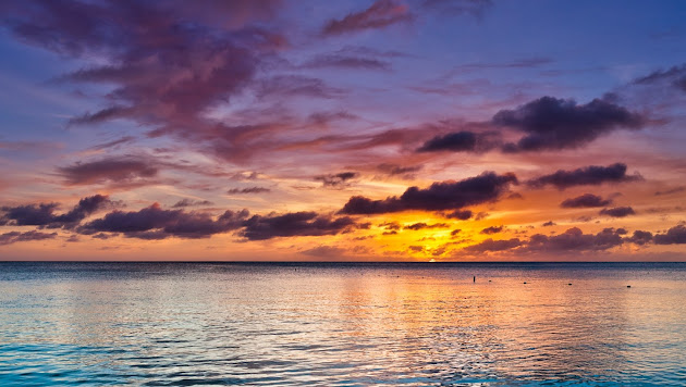 Cover photo