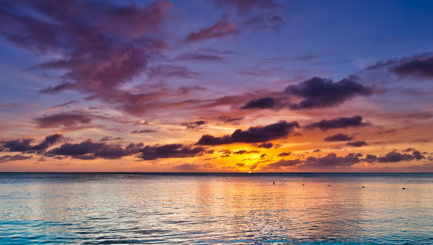 Cover photo