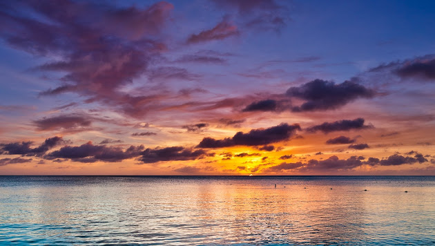 Cover photo