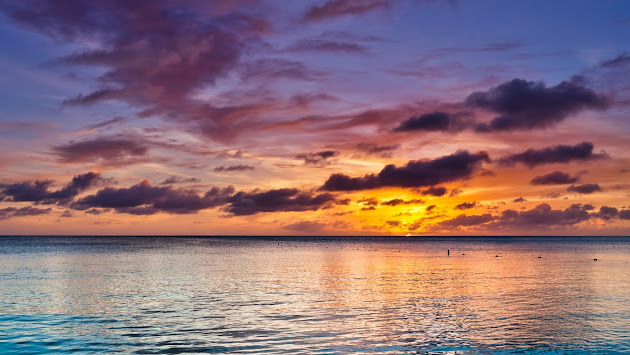 Cover photo