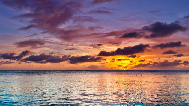 Cover photo