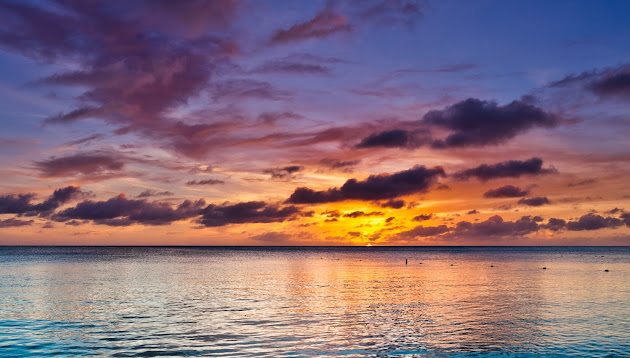 Cover photo