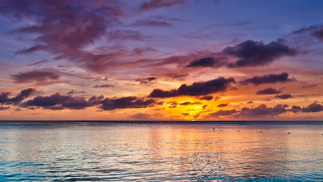 Cover photo