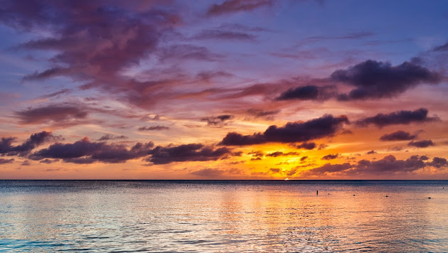 Cover photo