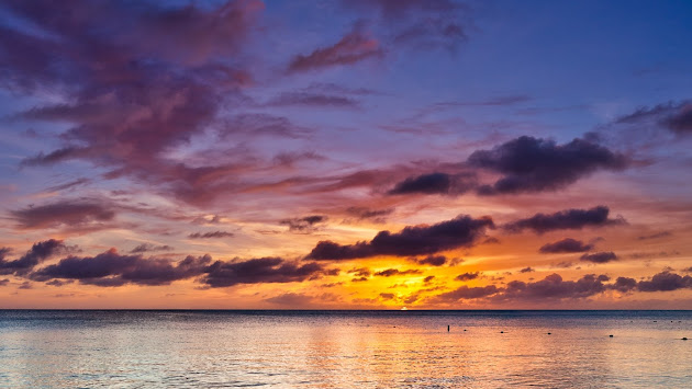 Cover photo