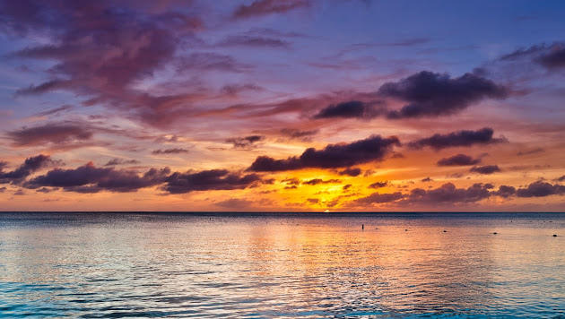 Cover photo