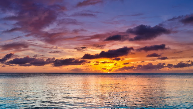 Cover photo