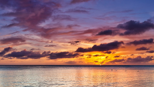Cover photo